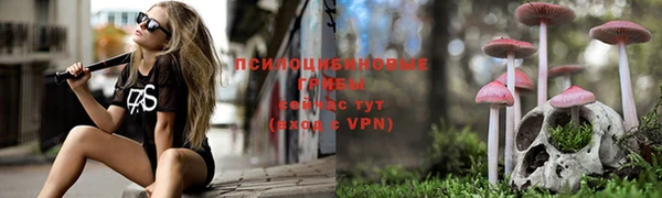 тгк Верея