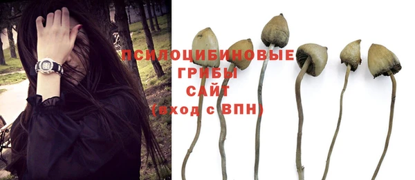 тгк Верея