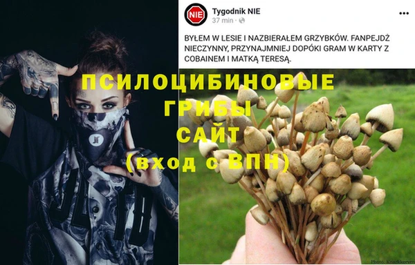 тгк Верея
